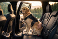 LYVERI™ – Harnais de Sécurité Automobile Premium pour Chien